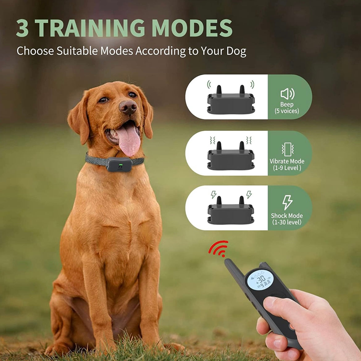 Dog Shock Collar for 2 Dogs,3/4 Mile Range Dog Training Collar with Remote,Waterproof and Rechargeable with Beep, Vibration, Safe Shock, Light and Keypad Lock Mode for Large Medium Small Dogs(X1 Grey)