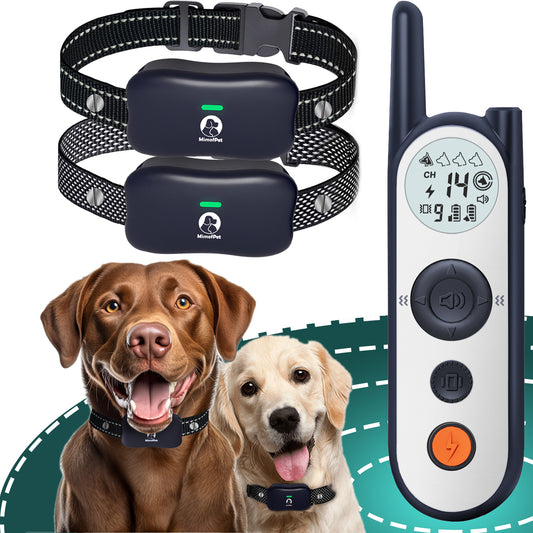 Wireless Dog Fence for 2 dogs - Covers up to 856-Acre Wireless Dog Collar Fence System,6000FT Training Collar with Remote,Rechargeable Electric Dog Fence with 3 Training Modes for Large Medium Dogs